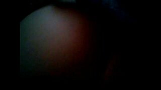 الجنس الشرجي تشيكا